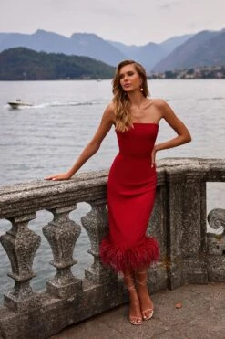 Briel Dress -Luxury Evening Wear Store 57 c5182d92 326c 4b8a 98f3 62f2e7e4fcd4