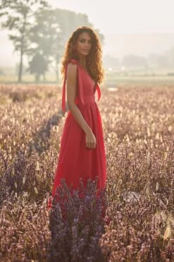 Cellina Maxi Dress -Luxury Evening Wear Store 7 96f2dbf6 2731 405f ab3d 33682fa3976d