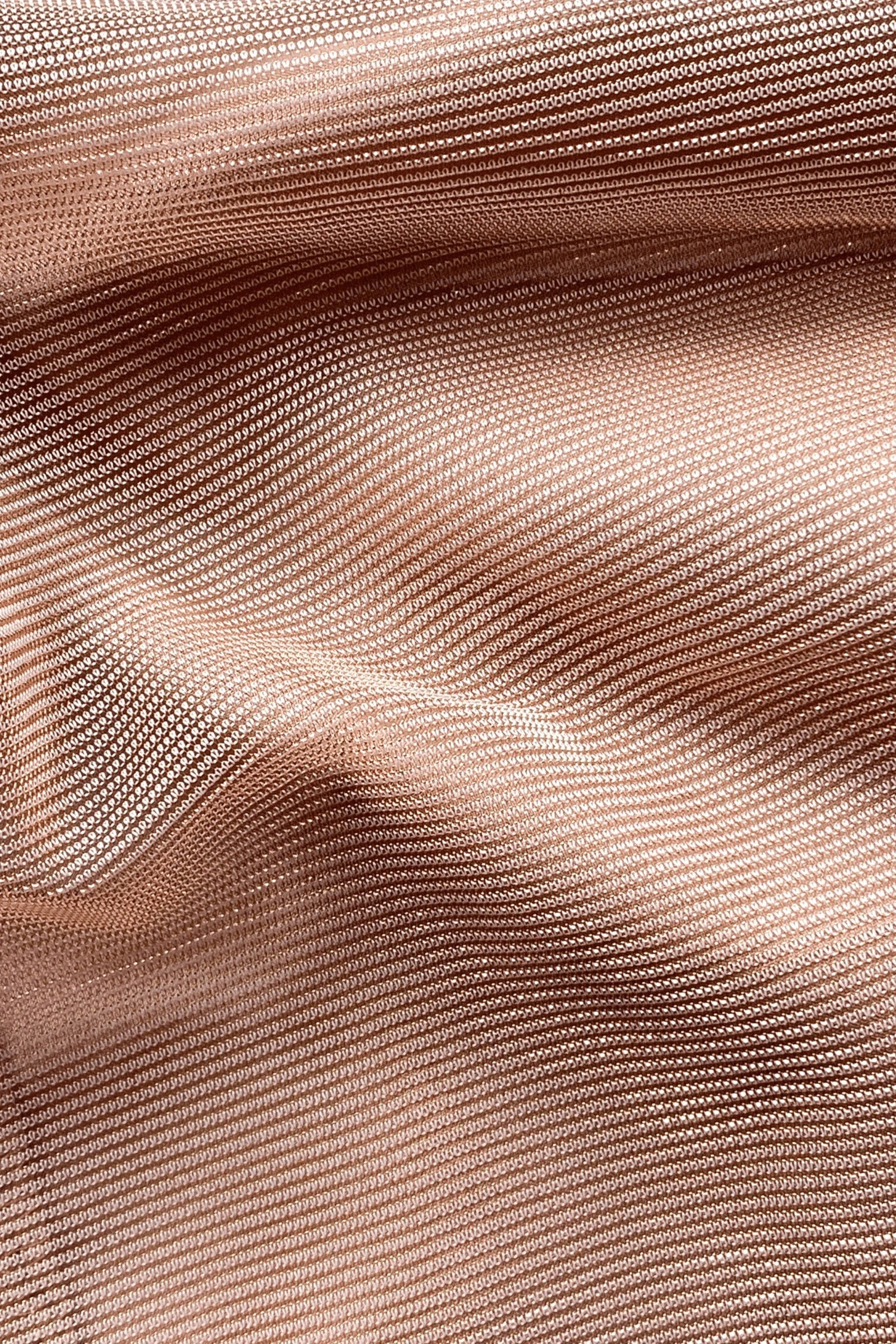 Beatrice 7 Beatrice - Image 7