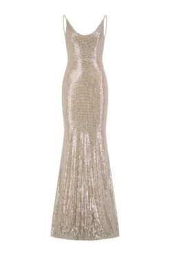 Nina Low Back Silver Gown -Luxury Evening Wear Store nina 1 gm