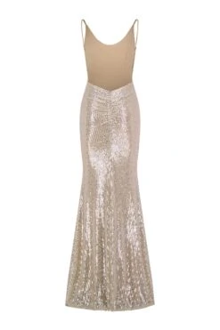 Nina Low Back Silver Gown -Luxury Evening Wear Store nina 2 gm